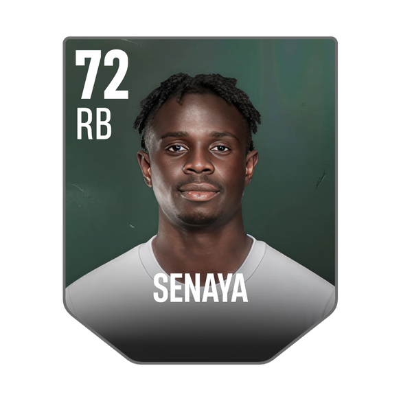 SENAYA