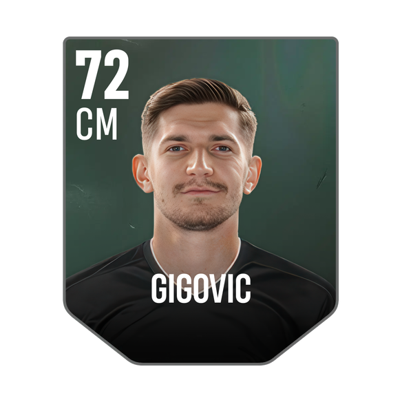GIGOVIC