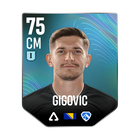 GIGOVIC