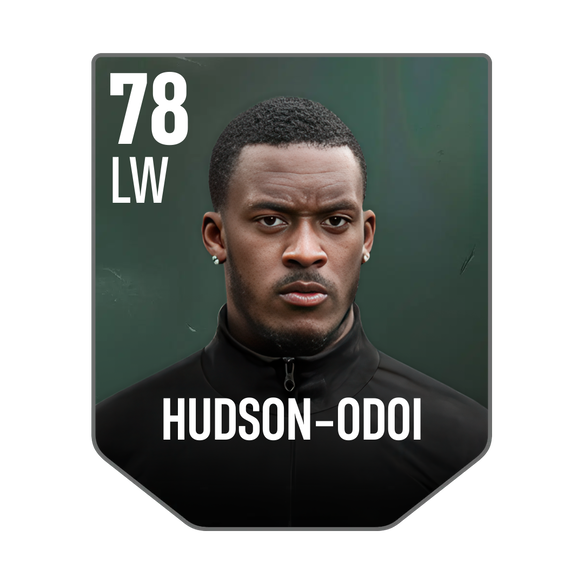 HUDSON-ODOI