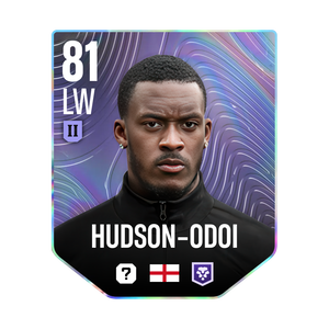 HUDSON-ODOI