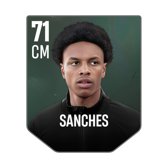 SANCHES
