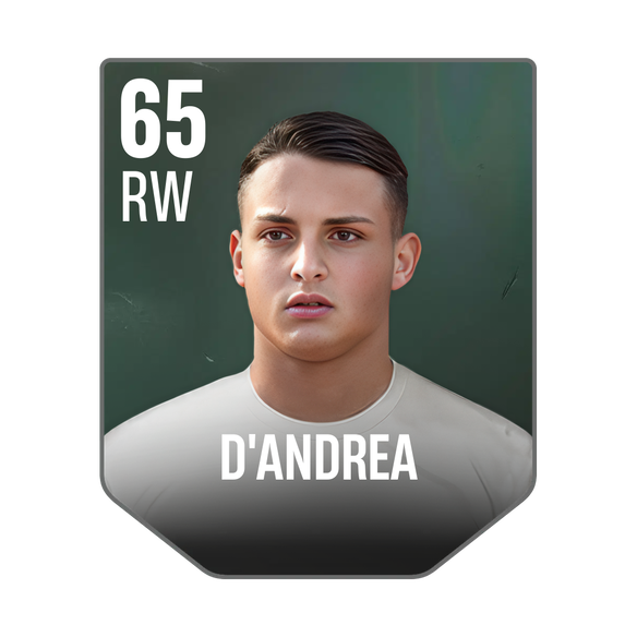 D'ANDREA