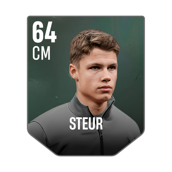 STEUR