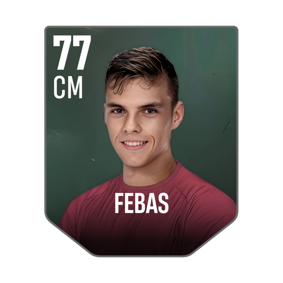 FEBAS