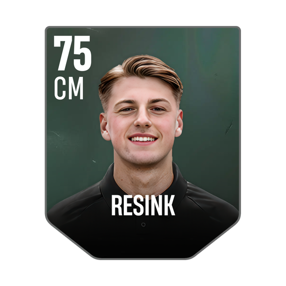 RESINK