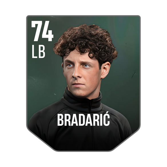 BRADARIĆ