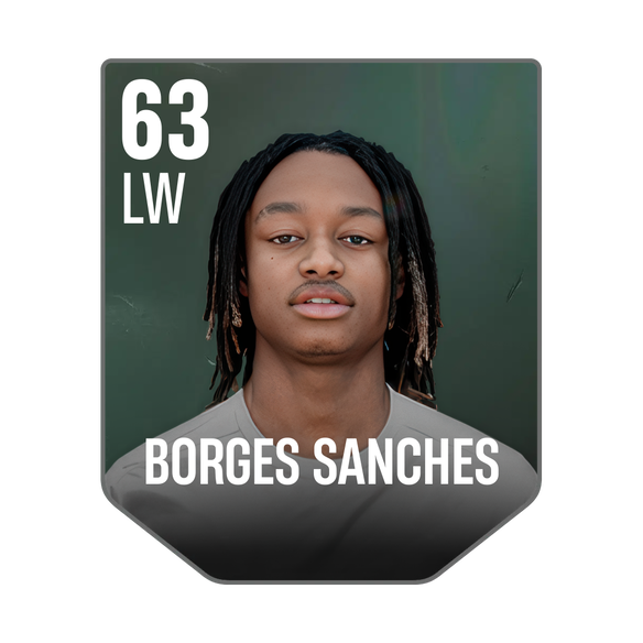 BORGES SANCHES