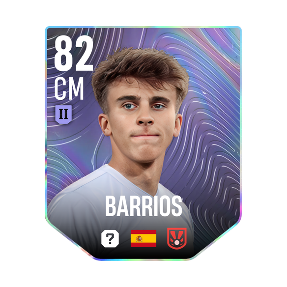 BARRIOS
