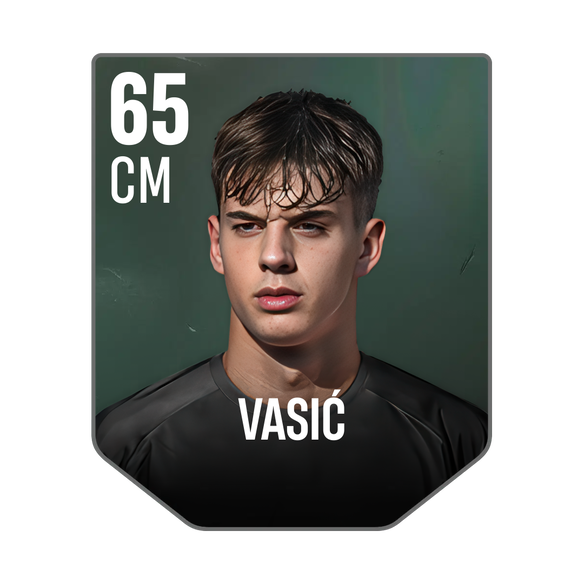 VASIĆ