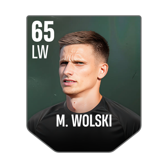 M. WOLSKI