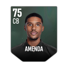 AMENDA