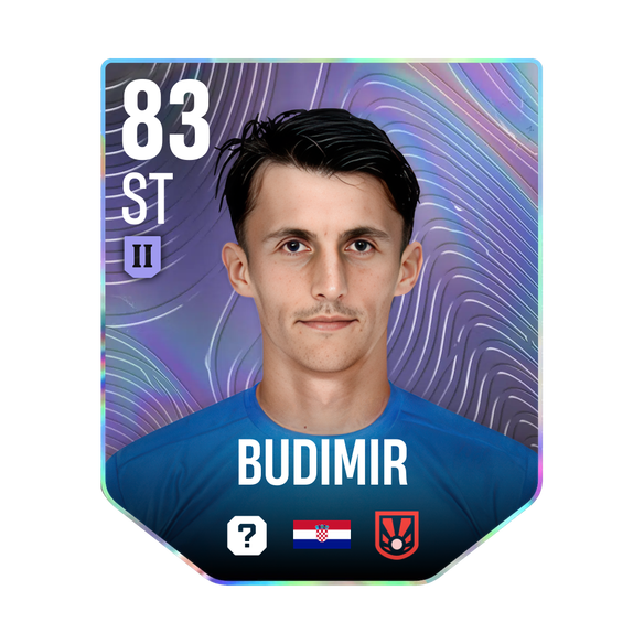 BUDIMIR
