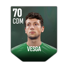 VESGA