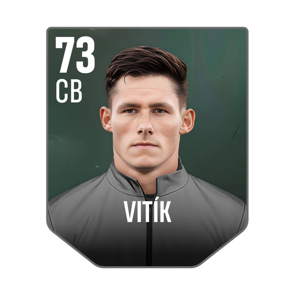 VITÍK