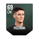PICCININI