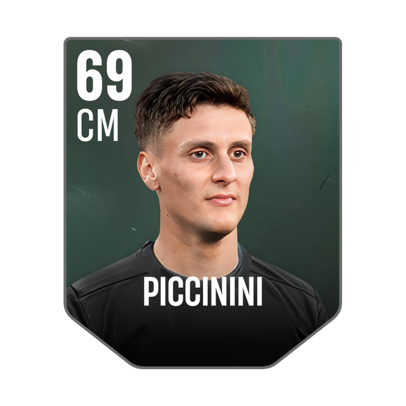 PICCININI