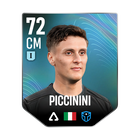 PICCININI
