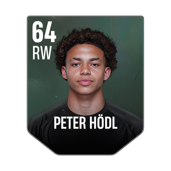 PETER HÖDL