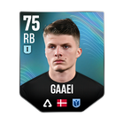 GAAEI
