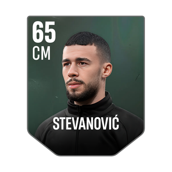 STEVANOVIĆ