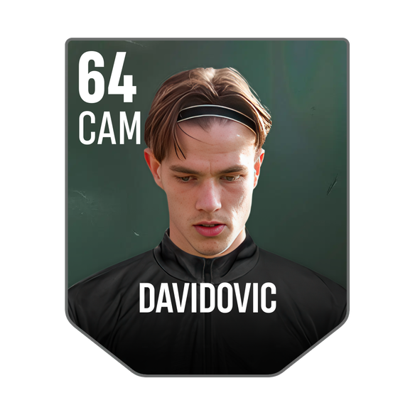 DAVIDOVIC