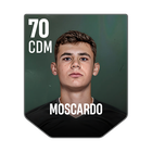 MOSCARDO