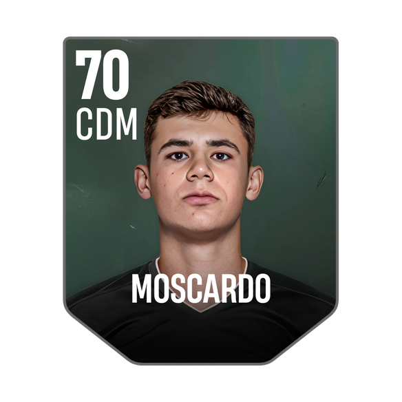 MOSCARDO
