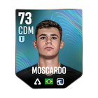 MOSCARDO
