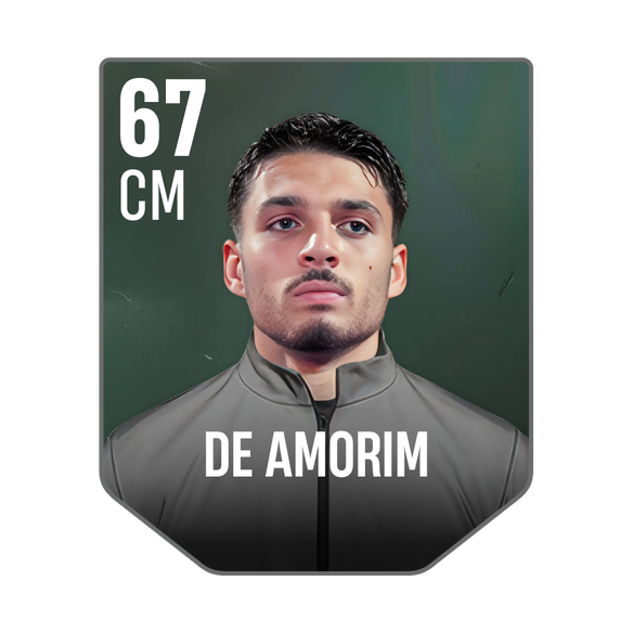 DE AMORIM
