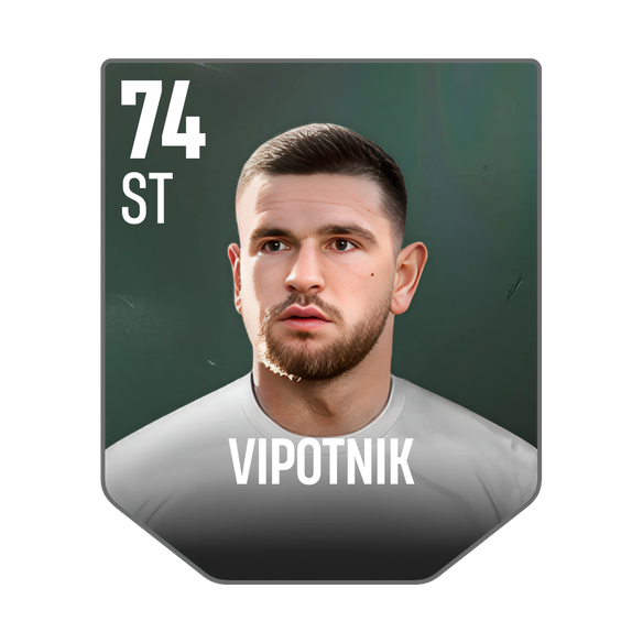 VIPOTNIK