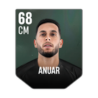 ANUAR