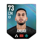 ANUAR