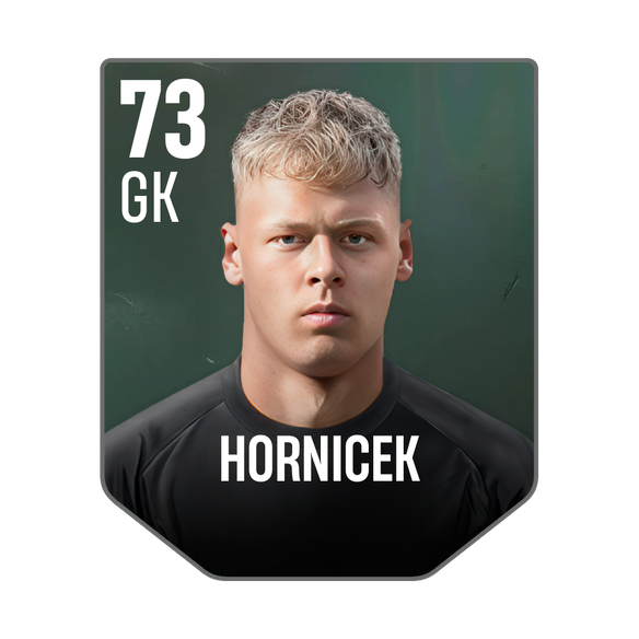 HORNICEK