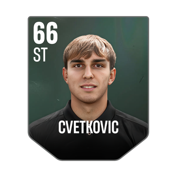 CVETKOVIC