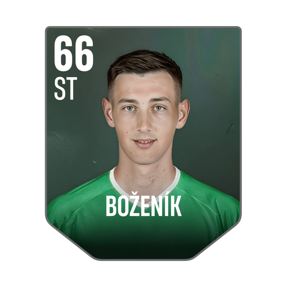 BOŽENÍK