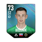 BOŽENÍK