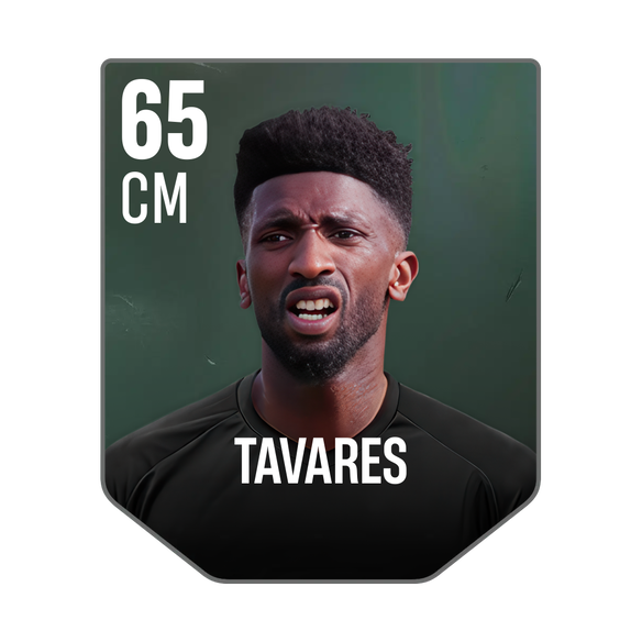 TAVARES