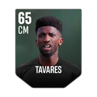 TAVARES