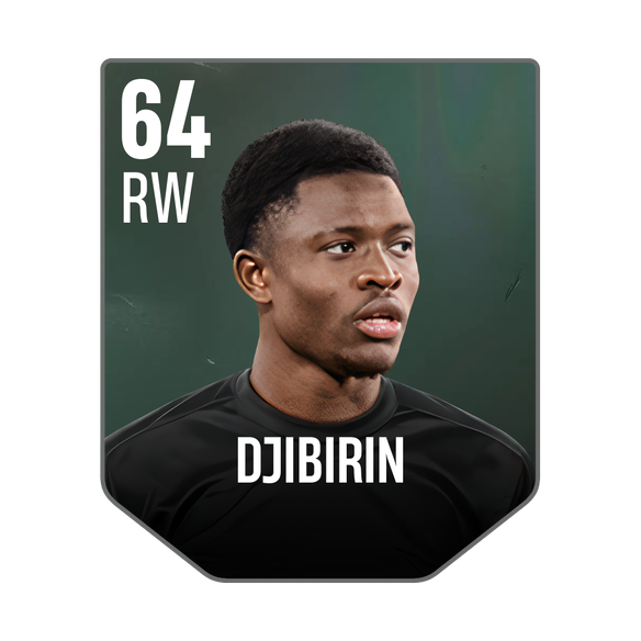 DJIBIRIN