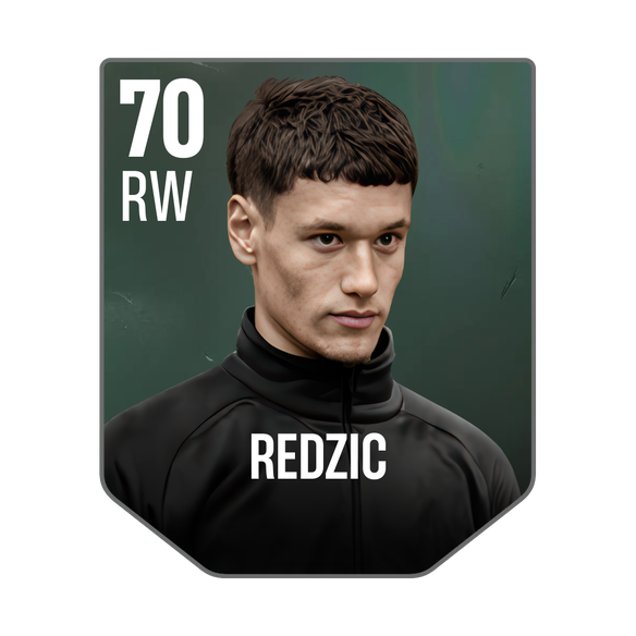 REDZIC