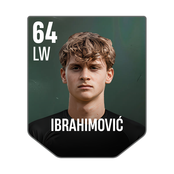 IBRAHIMOVIĆ