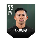 ARAVENA