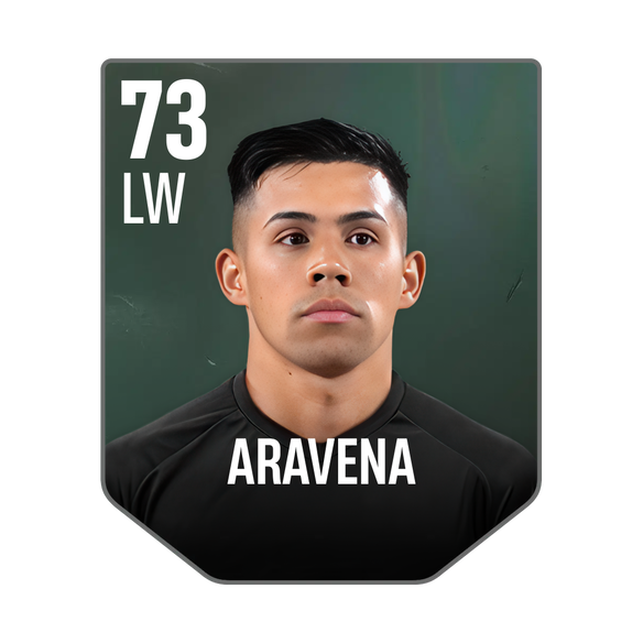 ARAVENA