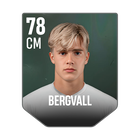 BERGVALL
