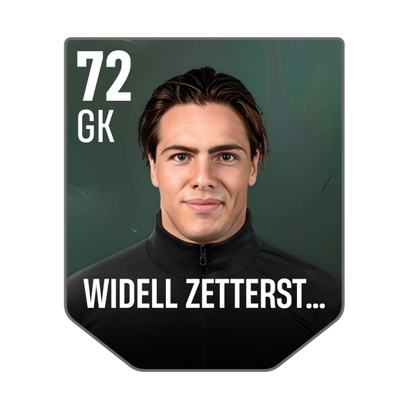 WIDELL ZETTERSTRÖM
