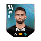 PEJIÑO