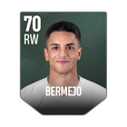 BERMEJO