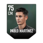 PABLO MARTÍNEZ