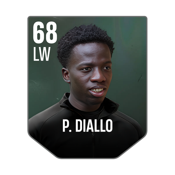 P. DIALLO